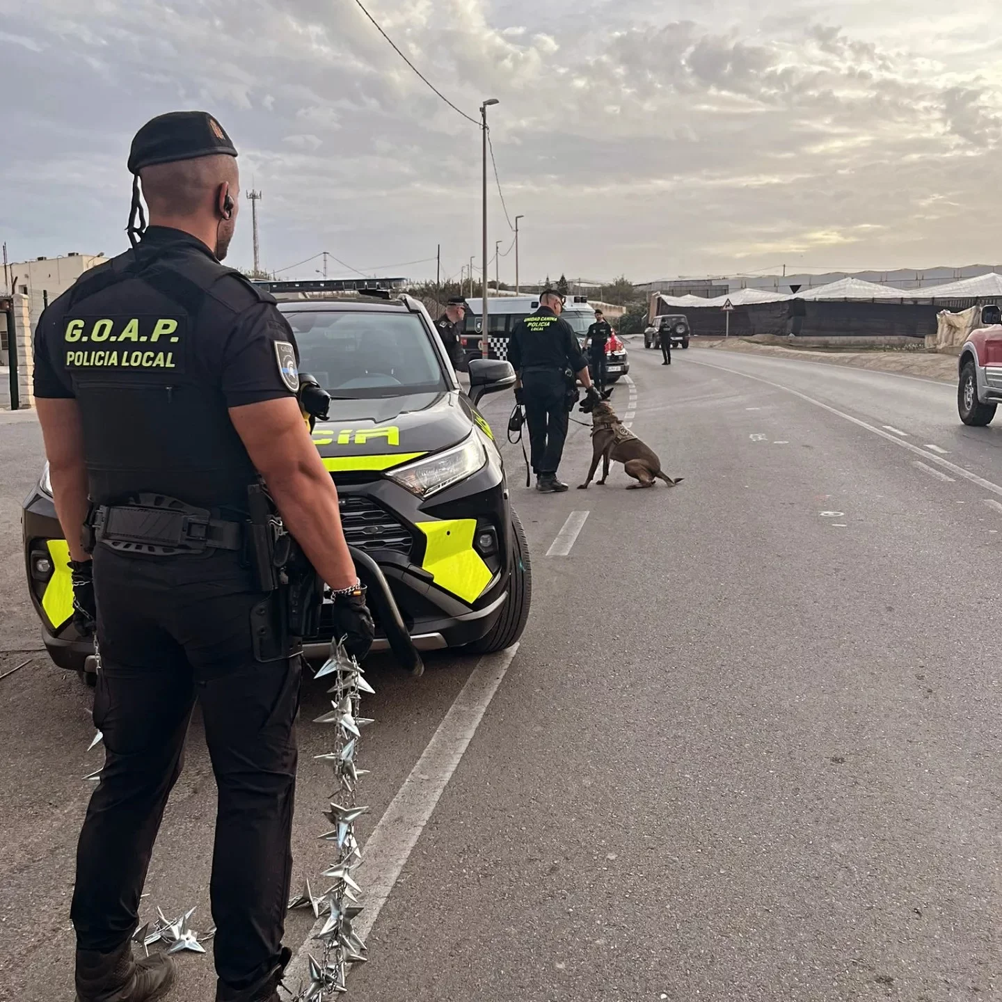 Agentes de Policía Local de Andalucía: requisitos para opositar